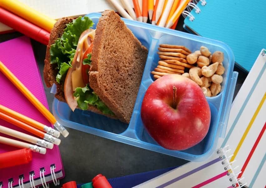 The Best Lunch Containers for 2023